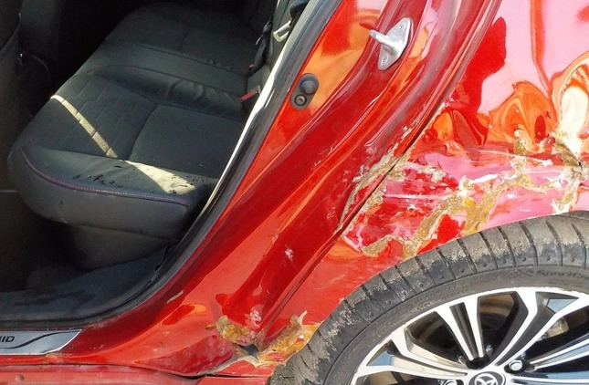Toyota Corolla cena 53900 przebieg: 61256, rok produkcji 2019 z Pabianice małe 667